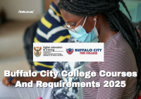 Buffalo City College Courses And Requirements 2025