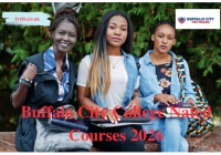 Buffalo City College Nated Courses 2026