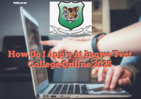 How Do I Apply At Ingwe Tvet College Online 2025