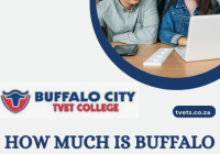 How much is Buffalo College Application Fee?