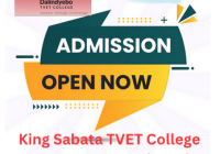 King Sabata TVET College Open For 2026 Registration