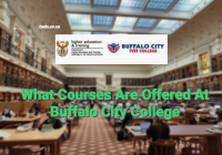 What Courses Are Offered At Buffalo City College