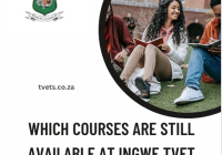 Which Courses Are Still Available At Ingwe TVET College