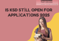 Is KSD still open for applications 2025