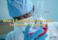 What 3 Subjects Do You Need To Become A Doctor?