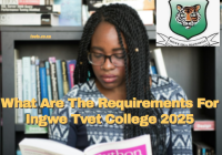 What Are The Requirements For Ingwe Tvet College 2025