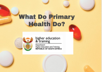 What Do Primary Health Do?