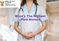 What's The Highest Paid Nurse?What is the highest position in nursing?