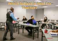 Which Subject Is Best For Teacher?