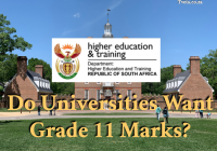 Do Universities Want Grade 11 Marks?