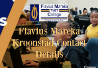 Flavius Mareka Kroonstad Contact Details