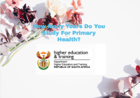 How Many Years Do You Study For Primary Health?