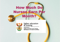 How Much Do Nurses Earn Per Month?