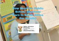 How Much Do Public School Teachers Earn In South Africa Per Month?