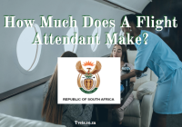 How Much Does A Flight Attendant Make?