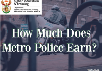 How Much Does Metro Police Earn? 