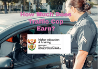 How Much Does Traffic Cop Earn?