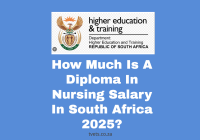 How Much Is A Diploma In Nursing Salary In South Africa 2025?