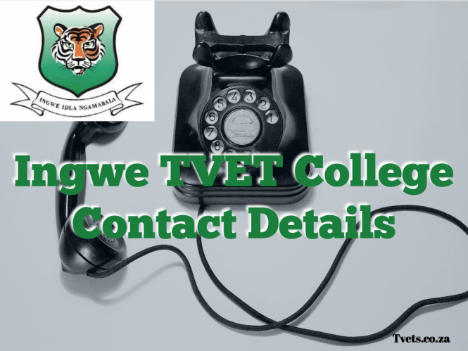 Ingwe TVET College Contact Details
