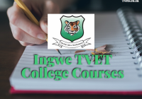 Ingwe TVET College Courses