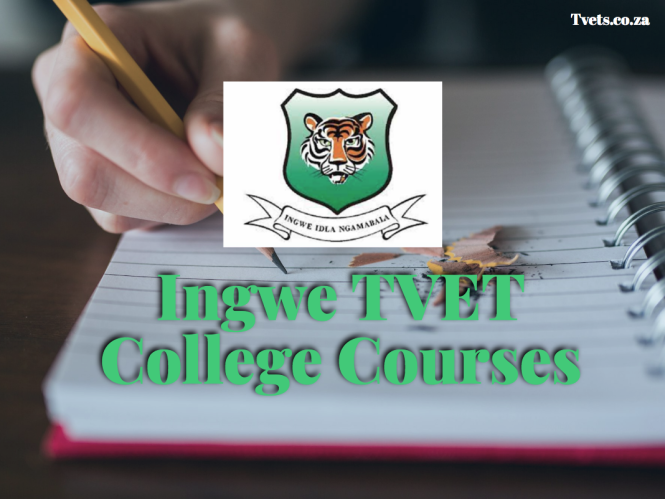 Ingwe TVET College Courses