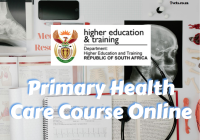 Primary Health Care Course Online