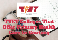 Tvet Colleges That Offer Primary Health Care In Gauteng