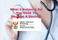 What 5 Subjects Do You Need To Become A Doctor?