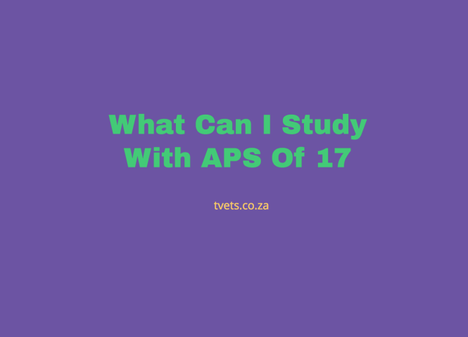 What Can I Study With APS Of 17