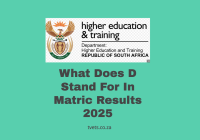 What Does D Stand For In Matric Results 2025