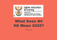 What Does N4 N6 Mean 2025?