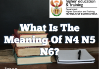 What Is The Meaning Of N4 N5 N6?