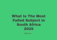 What Is The Most Failed Subject in South Africa 2025