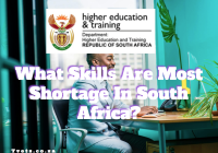 What Skills Are Most Shortage In South Africa?