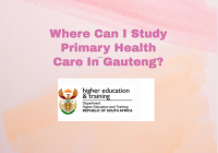 Where Can I Study Primary Health Care In Gauteng?