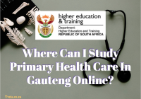 Where Can I Study Primary Health Care In Gauteng Online?