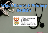 Which Course Is Primary Health?