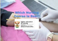 Which Nursing Course Is Best?