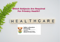 Which Subjects Are Required For Primary Health?