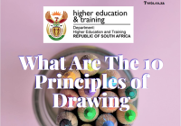 What Are The 10 Principles of Drawing