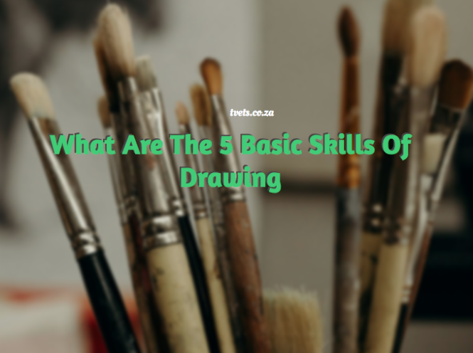 What Are The 5 Basic Skills Of Drawing