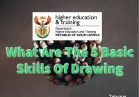 What Are The 5 Basic Skills Of Drawing