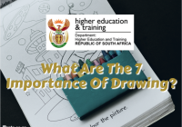 What Are The 7 Importance Of Drawing?