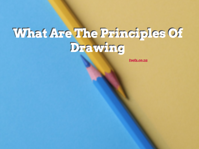 What Are The Principles Of Drawing