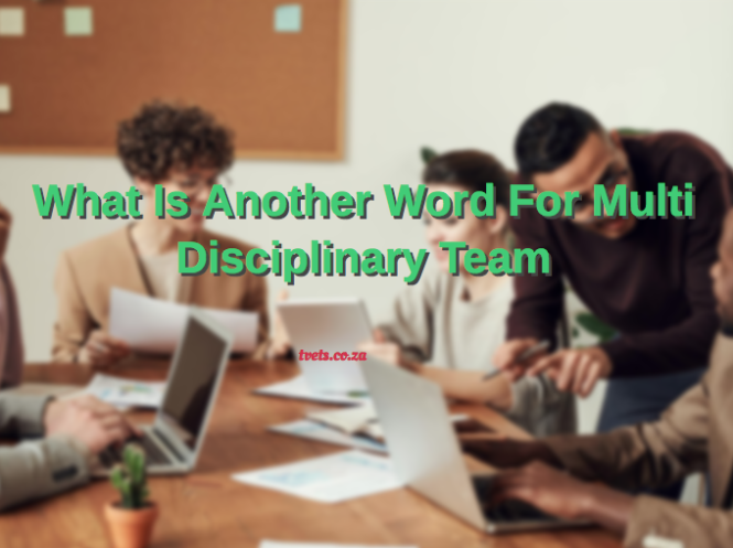 What Is Another Word For Multi Disciplinary Team