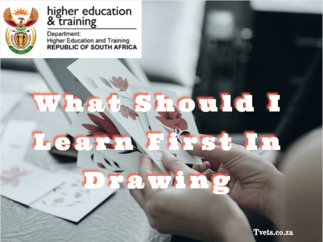 What Should I Learn First In Drawing